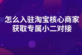 如何入驻淘宝核心商家，获取专属小二对接