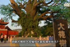 明朝山西洪洞大槐树移民有八百多个姓氏，快看看有你的姓氏没有！