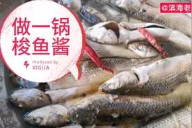 今天早市六块钱一斤买的小梭鱼煮了一锅鱼酱真好吃。看是怎么做的视频封面