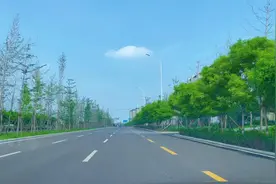 我国建国以来共发生过十二次疫情！