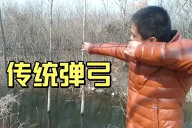 我一直用传统弹弓  藏羚羊款