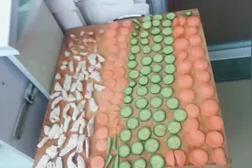 自己给仓鼠做的胡萝卜干，黄瓜干，还有鸡胸肉干，纯绿色无污染