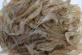 胶东大厨分享“清炒小河虾”的做法，详细易学美味，果断收藏了视频封面