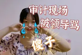 审计现场，被领导大众骂傻子！视频封面