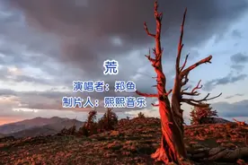 MV音乐《荒》完整版视频封面