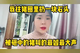 我往猪圈里扔一块石头，被砸中的猪一定是叫的最凶最大声的那个视频封面
