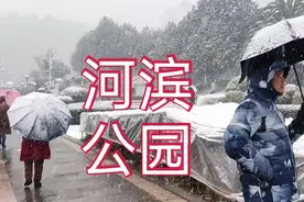 正月初二实拍云南曲靖河滨公园，下雪到处银装素裹，太美了视频封面