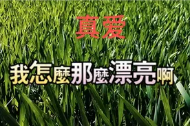 爱是心中善，爱是从心中萌发出来的，心中有善，才会有真爱