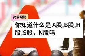 股票基础知识科普:什么是 A股,B股,H股,S股,N股视频封面