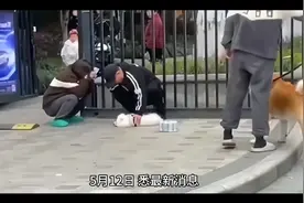上海依法处理遛狗不牵绳还打人者视频封面