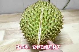 花180买的干尧榴莲，开到最后才发现，它是来报恩的，视频封面