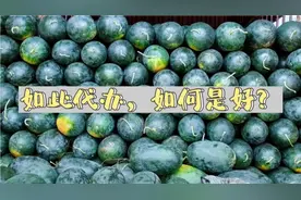 如此代办，如何是好？水果收购小白必看。