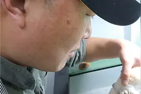 原创《徐州（汉玉天工)非物质文化遗产传承人青年玉雕老师谢玉》