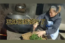 五妹分享摘茶揉茶的传统方法，一起去看看这样做的茶叶泡茶好喝吗