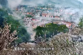 中蜂养殖：简单防治蜂群的烂仔病、白头蛹、巢虫的方法视频封面