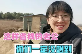 用最少的钱搭建鸡棚，还能年产3000只土鸡！这样会省钱的老公少有视频封面