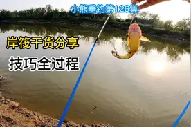 没玩过的快来看，岸筏抛投技巧和垂钓细节实战分享，小筏竿怎么玩视频封面