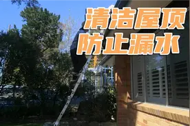 冬叔定期维护老房子屋顶，清理屋檐树叶，防止雨水倒灌，忙碌开心视频封面