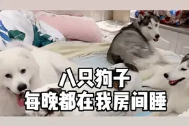 这是要把我钉墙上的节奏😂