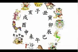 子丑寅卯辰巳午未申酉戌亥视频封面