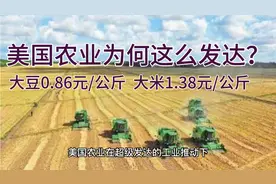 美国农业为何如此发达？大豆0.86元/公斤，大米1.38元/公斤视频封面