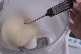 夏天揉面总是越揉越粘手？私房面包店主给你总结了解决方法视频封面