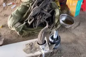 清道夫磨粉做饲料废物利用
