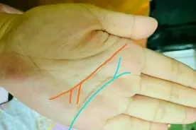 手相解析：感情线智慧线