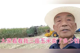 今天我三亩地的玉米收割后，马上就卖了，大家看一下我卖了多少钱