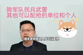 除军队民兵武警，其他可以配枪的人员和单位有哪些，欢迎关注点赞