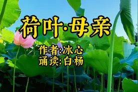 经典散文诗《荷叶•母亲》作者：冰心  诵读制作：白杨视频封面