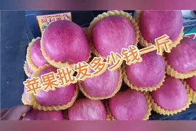 水果批发市场的苹果批发多少钱一斤？带大家了解一下批发价格…