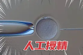 【医学博士】人工授精高清版！视频封面
