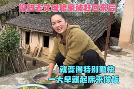 媳妇回娘家被赶出来后，就变得特别勤快，一大早就起床做饭视频封面