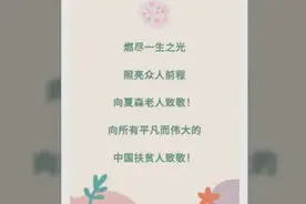 夏森奶奶的无私奉献，感动了无数人视频封面
