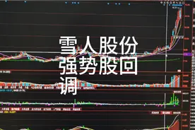 雪人股份强势股回调