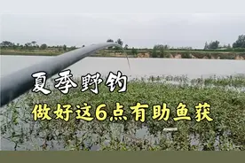 夏季野河钓鱼，做好这6点有助于你的鱼获，重点是诱钓结合视频封面