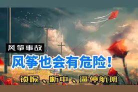 男子被风筝带飞险酿悲剧，风筝多危险，以下视频告诉你视频封面