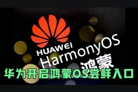 华为开启鸿蒙OS尝鲜入口！可自主更新机型曝光！