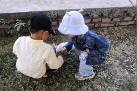 姥爷家楼下的小兔子，被俩小兔崽子玩坏了！视频封面