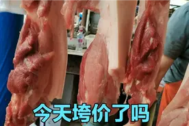 四川成都猪肉太吓人，看今天卖多少钱一斤，垮价了吗？看完不敢信视频封面