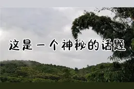 老挝杂谈9：老挝未婚女孩意外怀孕了会怎么办？视频封面