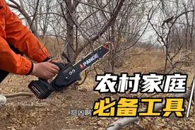 农村家庭必备的小工具，有了它，爸爸再也不用受累砍树啦！视频封面