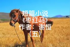 这是一段关于青春的情感故事，也是一段青涩情感的怀念-有声小说视频封面