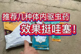 推荐几种常用的体内驱虫药，效果挺哇塞！
