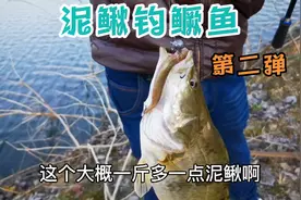 再次用泥鳅钓鳜鱼，这次请了个师傅来教我，看看最后鱼获如何？视频封面