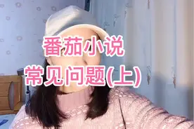 番茄小说常见问题（上）