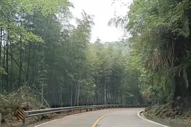 福建的茶山一路都是空气太好了