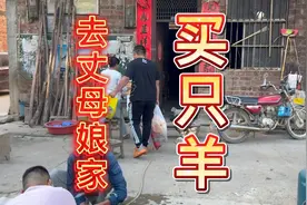 河南女婿买只羊去广西丈母娘家，没想到丈母娘也买了只羊迎女婿视频封面