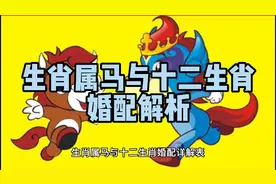 生肖属马与十二生肖婚配解析#属马的人 #生肖马 #属马人